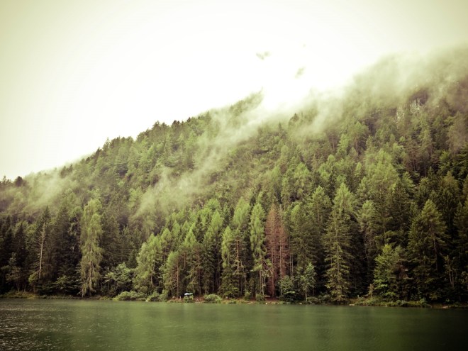 blog_tristachersee3