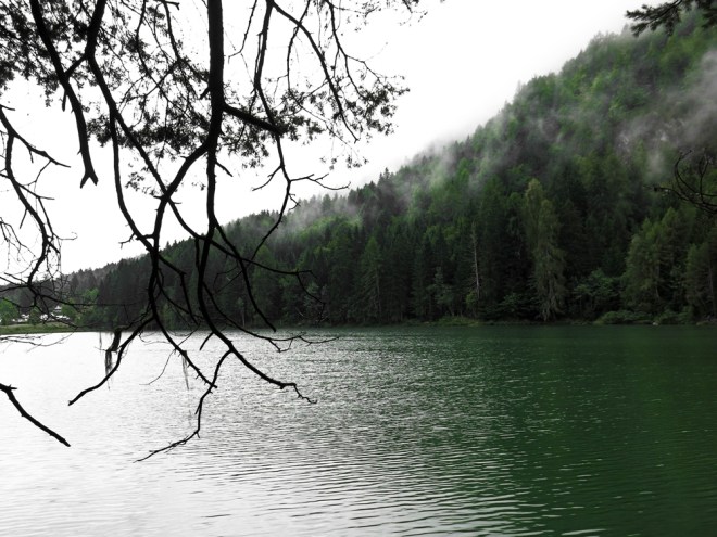 blog_tristachersee4