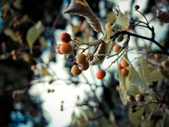 blog_anninger1309_2