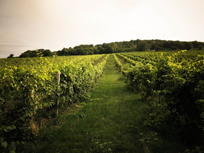 blog_weinberg1309-2