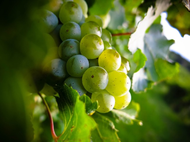 blog_weinberg1309-3