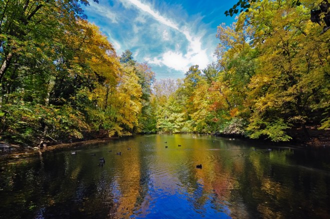 blog_herbstimdehnepark11