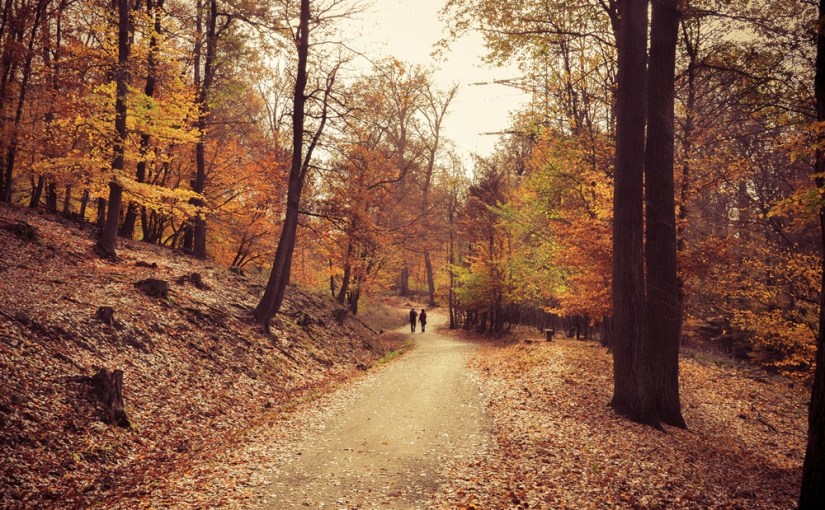 Das Ende der Farben oder Magic Monday Woche&nbsp;21