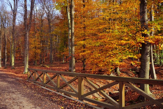 blog_lainzertiergarten1310_6