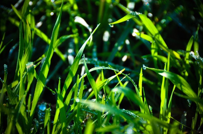 blog_wasserleitungsweg1310_06