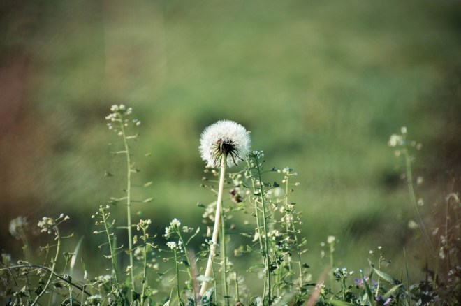 blog_wasserleitungsweg1310_08