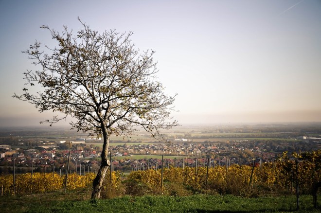 blog_wasserleitungsweg1310_09