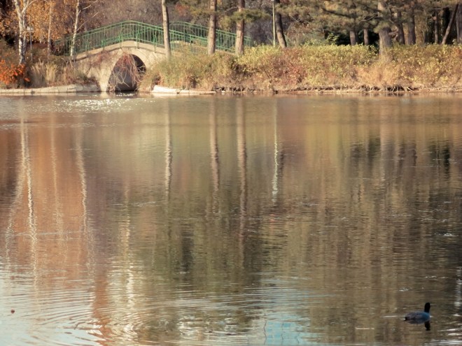 blog_wasserpark1311-13