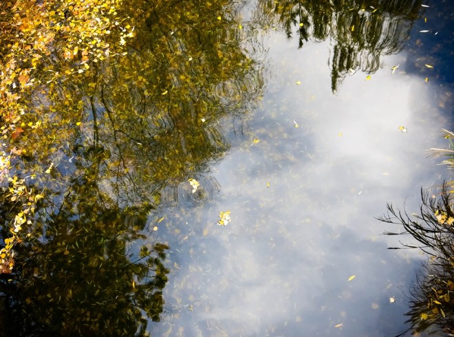 blog_wasserpark1311-16