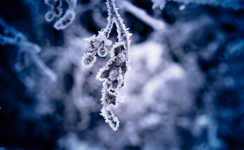 Details zum Jahresabschluss oder Magic Monday Woche&nbsp;27