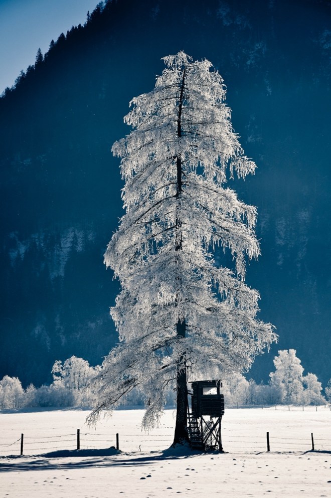 blog_winterlandschaft1312_11