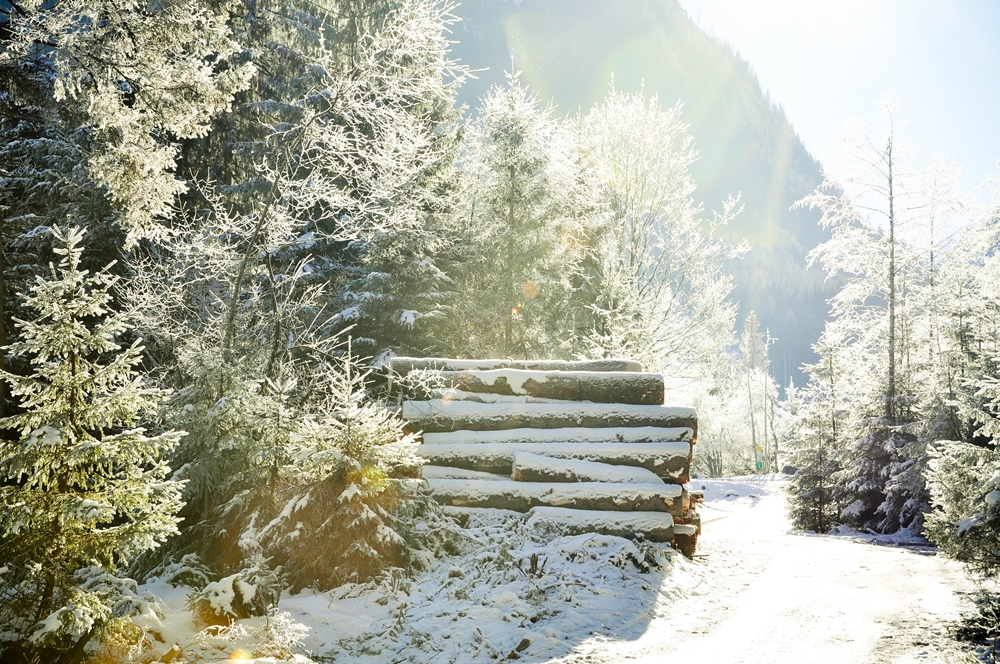 blog_winterlicht1312_2