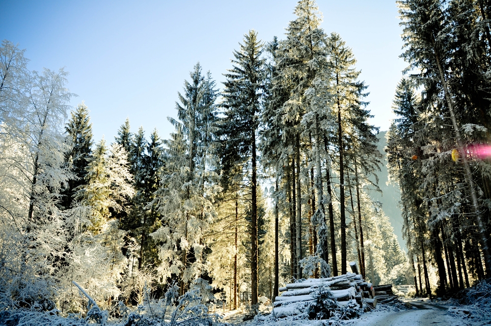 blog_winterlicht1312_3