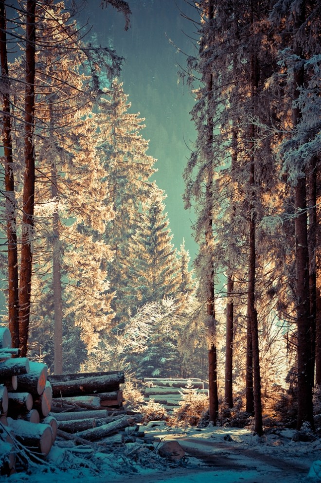 blog_winterlicht1312_6