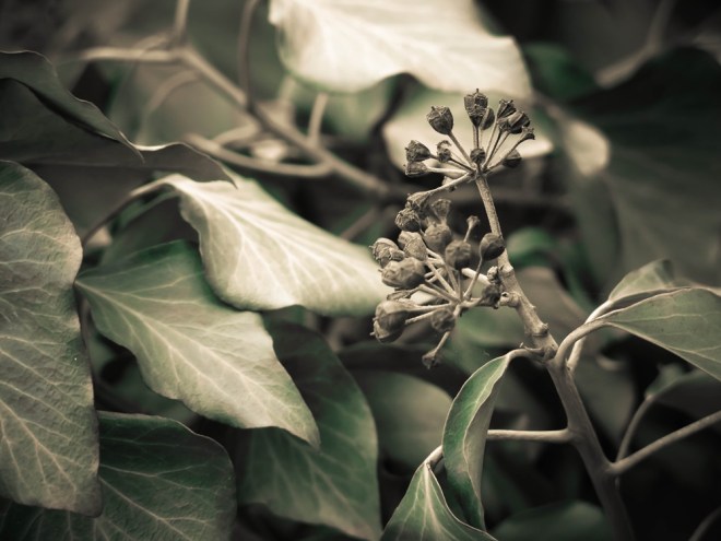 blog_friedhofstmarx_02