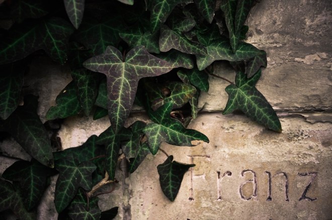 blog_friedhofstmarx_10