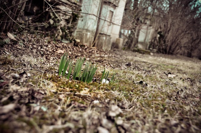 blog_friedhofstmarx_16