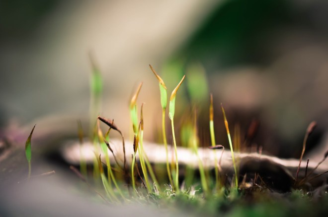 blog_friedhofstmarx_21