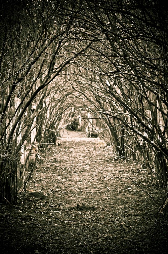 blog_friedhofstmarx_25