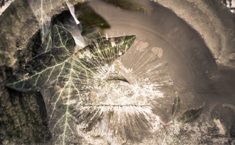 Friedhof St. Marx – die Mystik der&nbsp;Vergangenheit