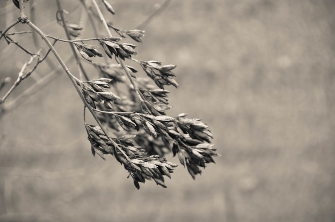 blog_friedhofstmarx_29