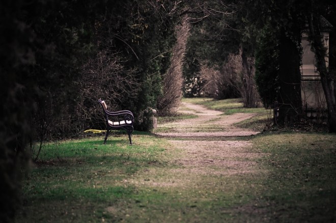 blog_friedhofstmarx_30