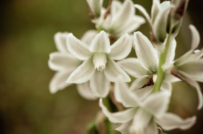 blog_botanischergarten1404-01