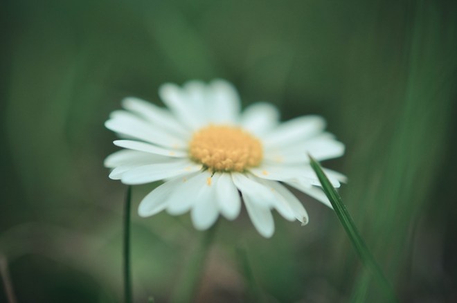 blog_botanischergarten1404-02