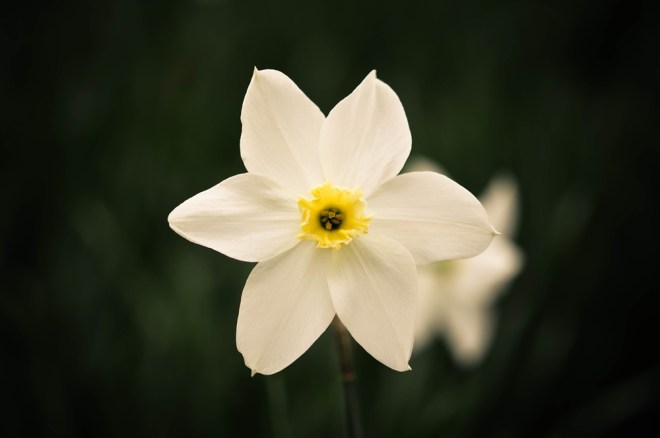 blog_botanischergarten1404-14