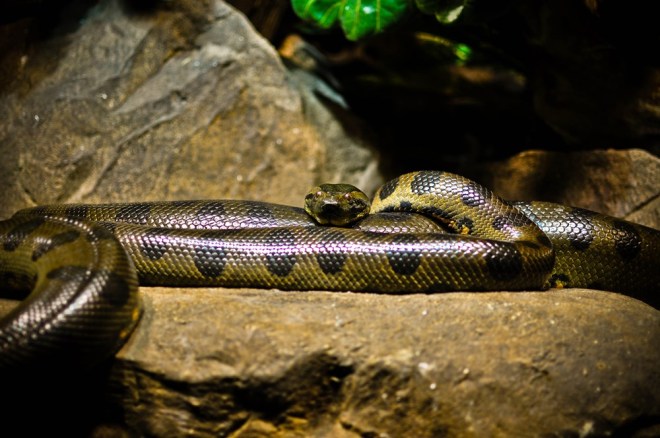 blog_hausdesmeeres-land1