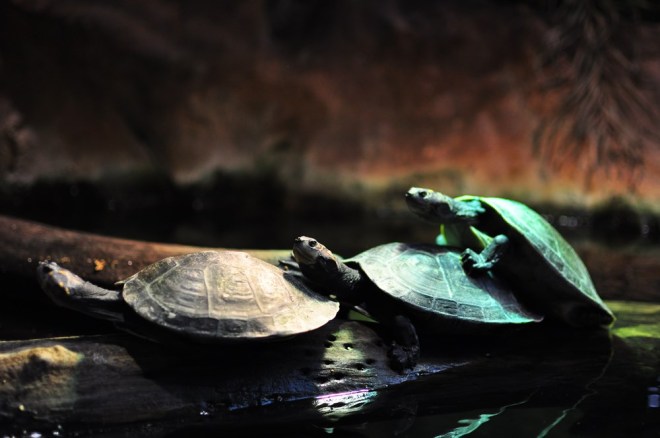 blog_hausdesmeeres-land7