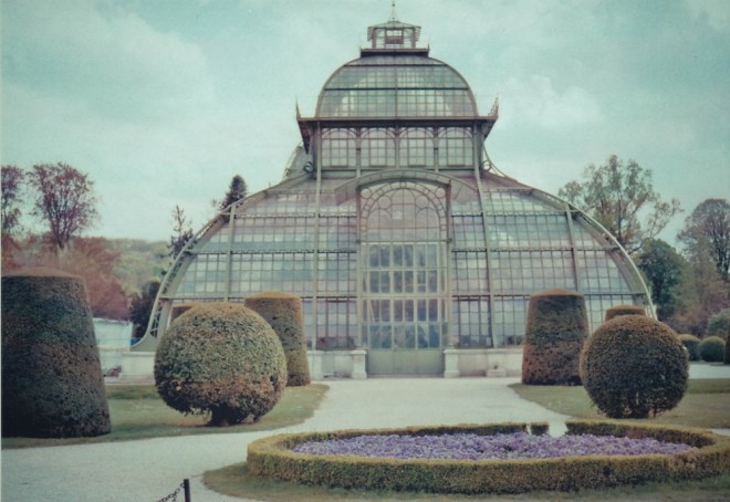 blog_yashica-schoenbrunn1401-4