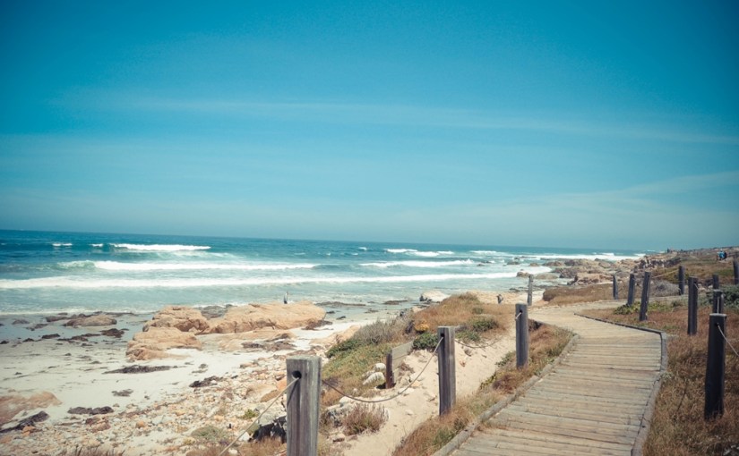 4000km USA: das 4. Highlight – Highway #1 (17 Mile&nbsp;Drive)