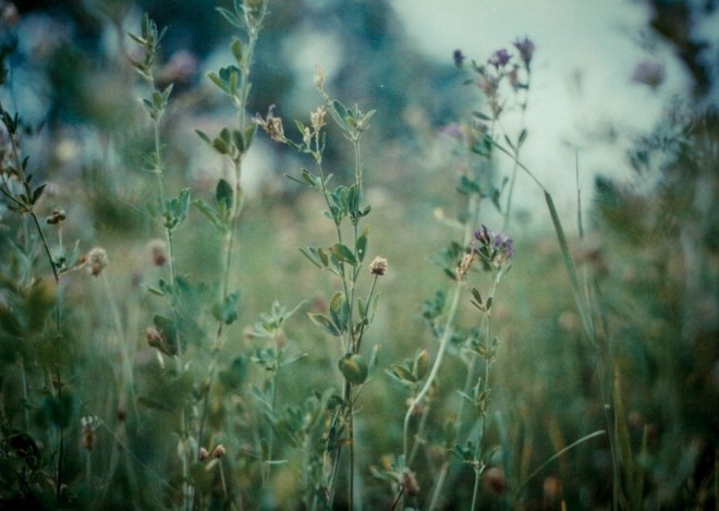 blog_1408_praktica-liechtenstein-detail1