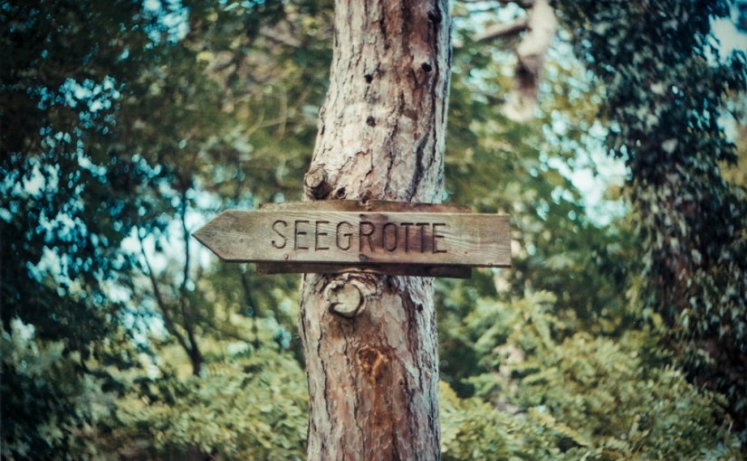 50f – Struktur im Analog-Ausflug am&nbsp;Anninger