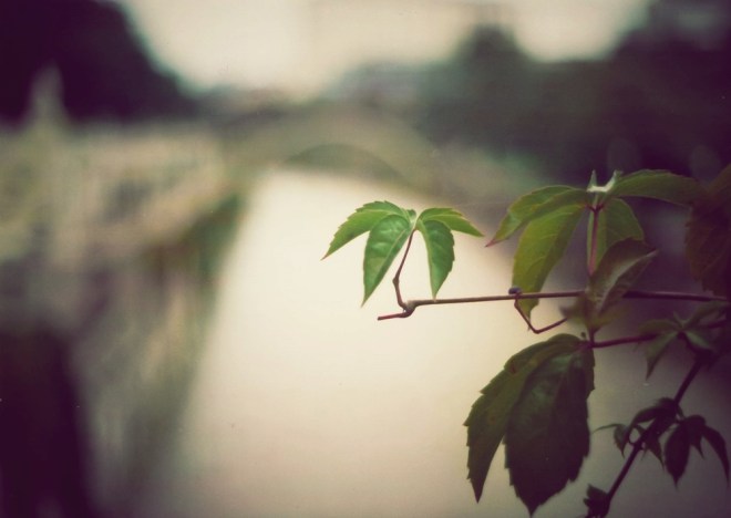 blog_praktica1408-innenstadt1