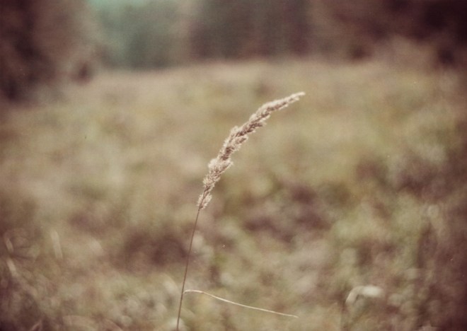 blog_praktica1408-lainz2