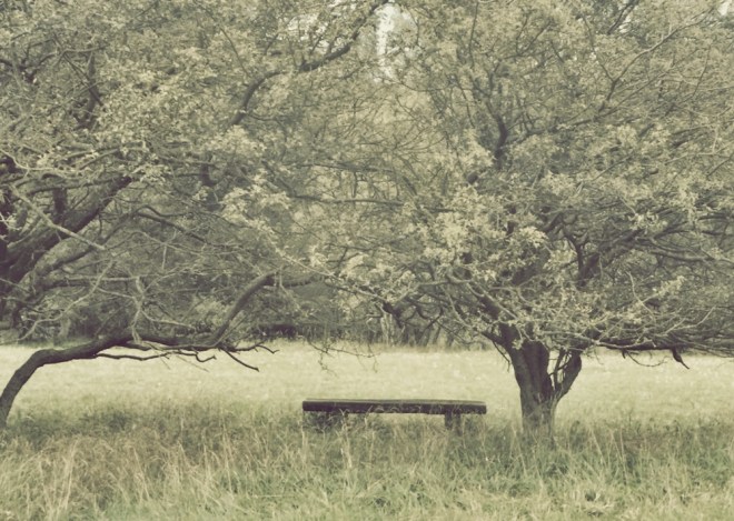 blog_praktica1408-lainz5