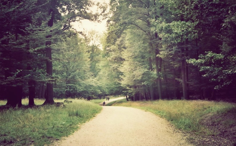 Mein zweiter Ausflug mit der&nbsp;Praktica