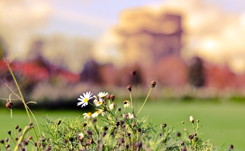 Auf der Suche nach dem Herbst in Wien oder Magic Letters&nbsp;2