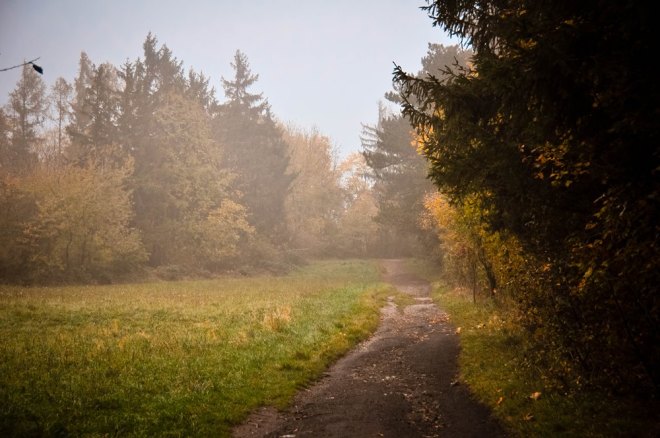 blog_steinhofgründe-nebel1411-6