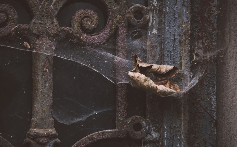 Paris im Dezember: Cimitière Père Lachaise oder Magic Letters:&nbsp;D