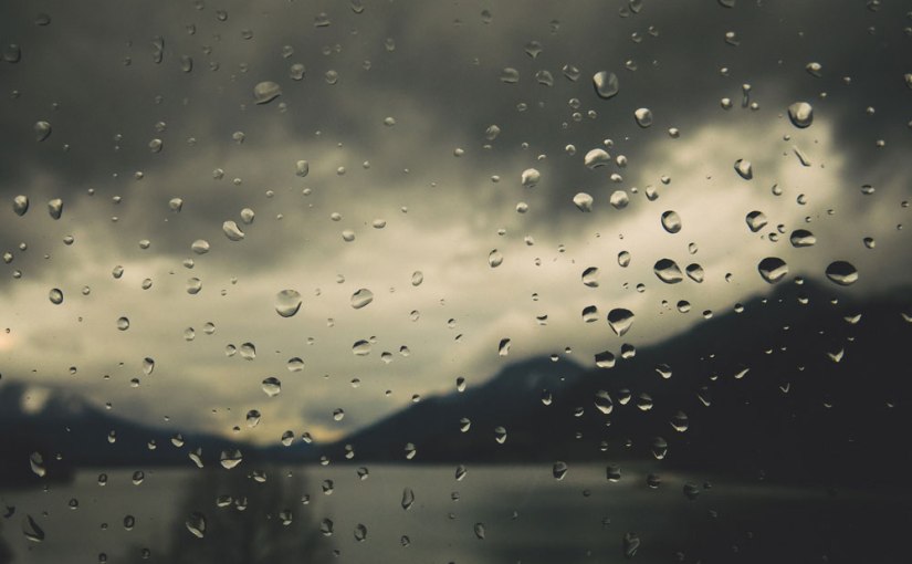 Paleica 2014 – ein Vergleich mit sehr viel&nbsp;früher