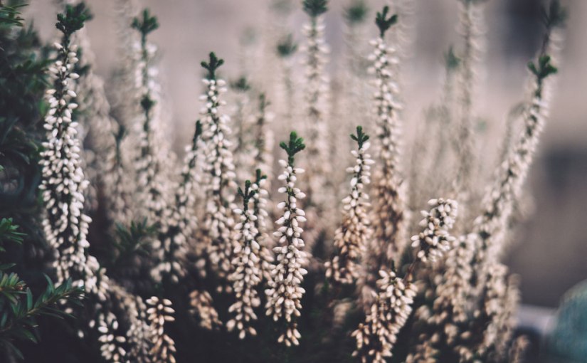 Bonjour Tristesse – Leben im Leblosen oder Magic Letters: C & Fotoaktion „If I was a&nbsp;tourist“