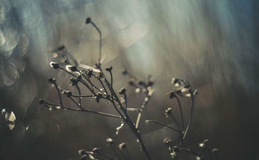 Beauty just waits to be found und ein Text namens „Leb-los“.