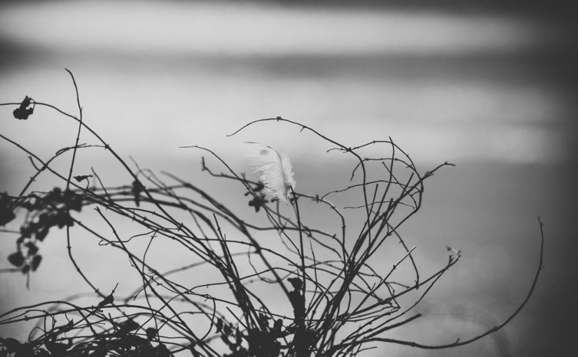 Metaphern in Graustufen