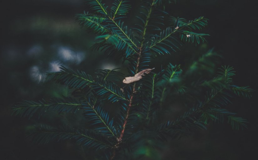 I’m falling for details oder Magic Letters:&nbsp;G