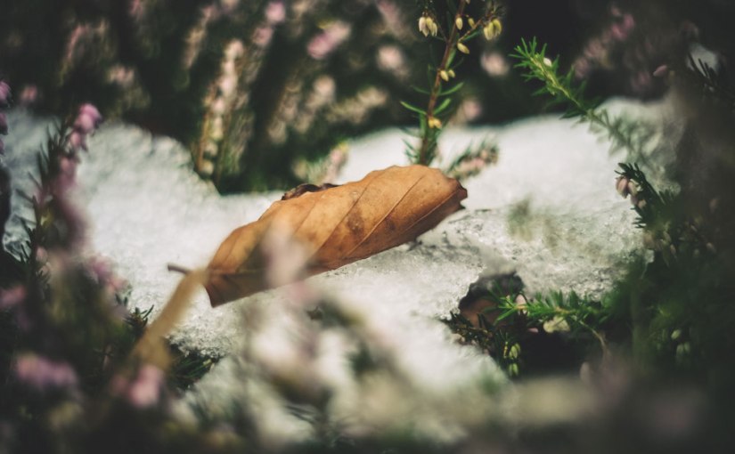 Individuen und Details oder Magic Letters: E & Reminder: If I was a&nbsp;tourist