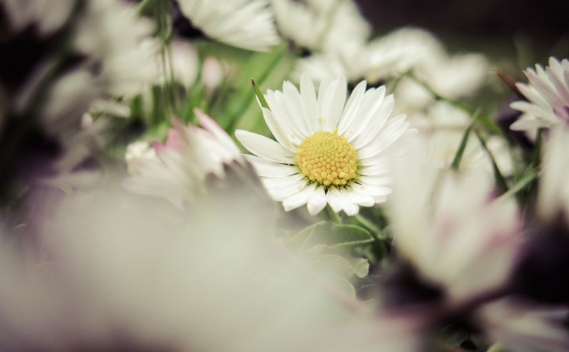 Wartezeit verkürzen im frühlingshaften Kurpark Oberlaa I oder Magic Letters:&nbsp;J