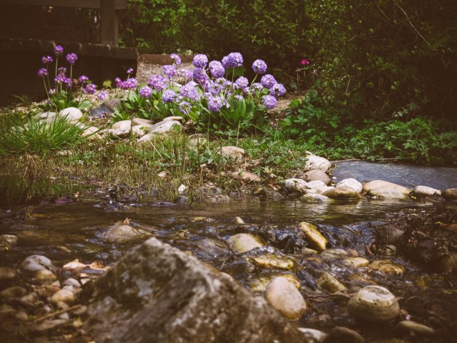 blog_setagayapark1504-3